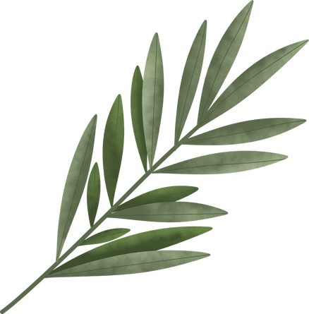 Watercolor green leaves